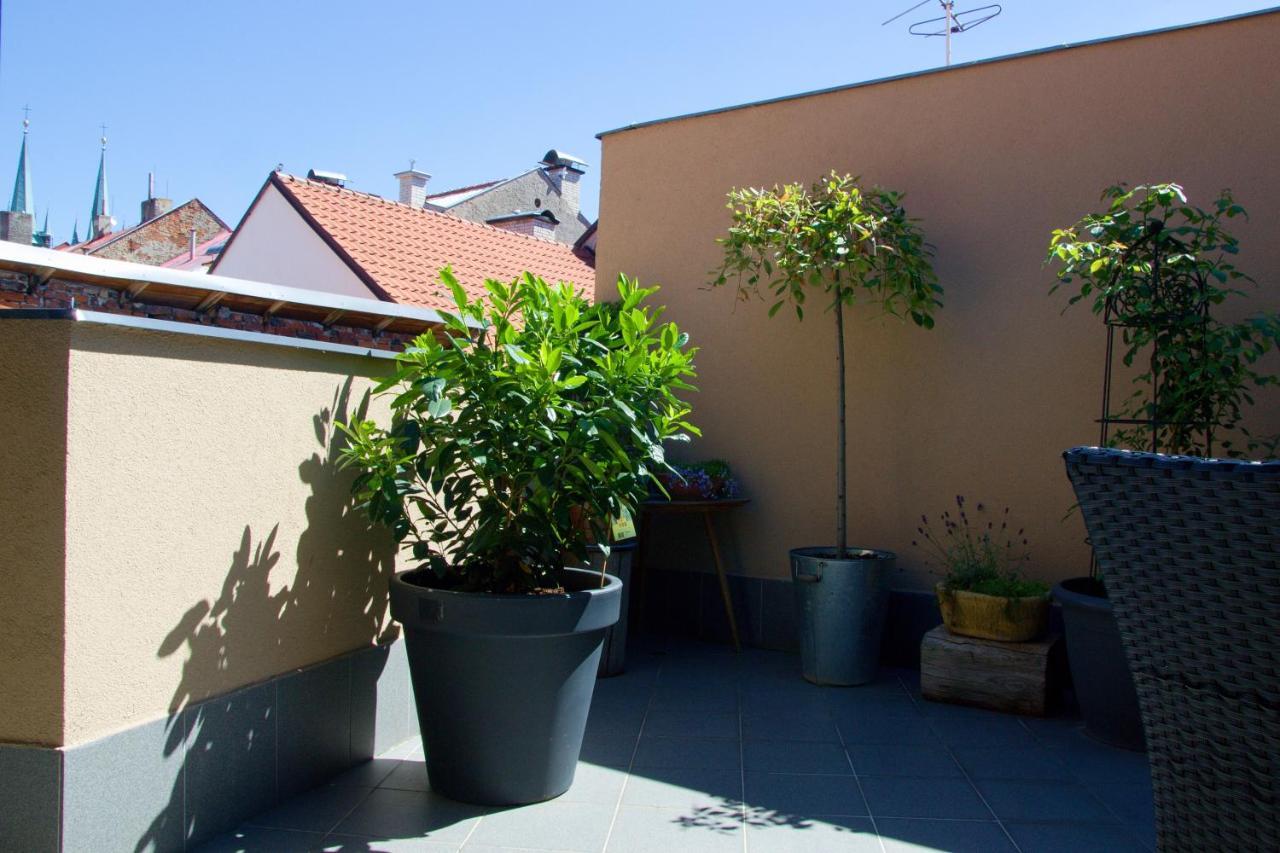 U Paluku Appartement Chrudim Buitenkant foto